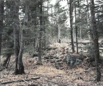 One-Woman Quest to Remake a Rural Property with Little Money Image